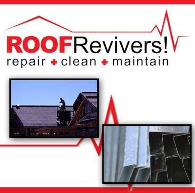 Image for Roof Revivers with ID of: 1047322