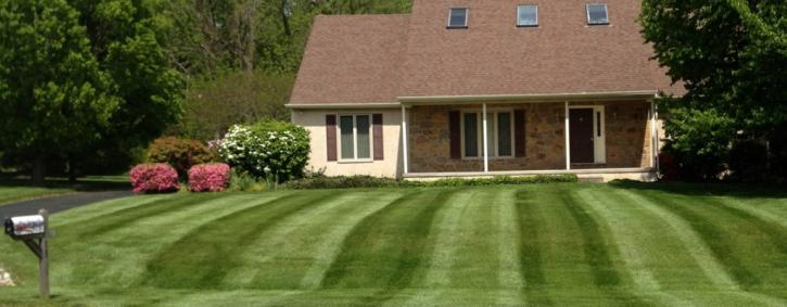 Image for Dutch Neck Lawn and Landscape - Middletown DE with ID of: 1047517