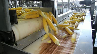 Image for China Corn Deep Processing Market 2015 Industry Trends Analysis and Forecast 2020 with ID of: 1047784