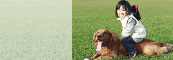 Image for Pet Waste Removal DC with ID of: 1048874