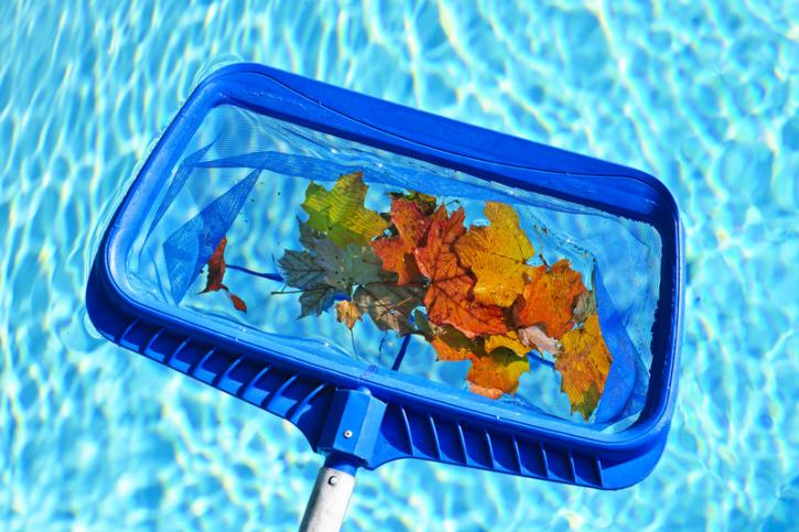 Image for Las Vegas Pool Service with ID of: 1050860