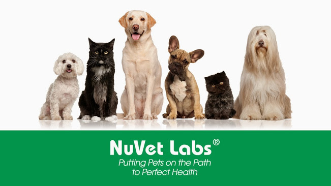 Image for NuVet Plus Reviews with ID of: 1050969