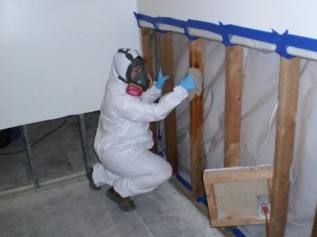 Image for PuroClean Mitigation & Restoration Services with ID of: 1051192