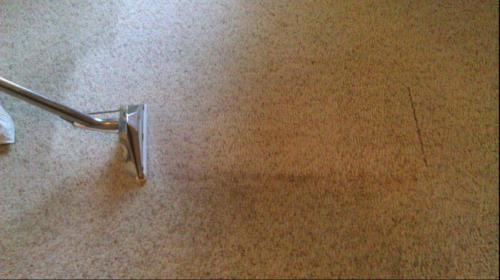 Image for Ogden City Carpet Cleaning with ID of: 1054312