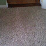 Image for Ogden City Carpet Cleaning with ID of: 1054332