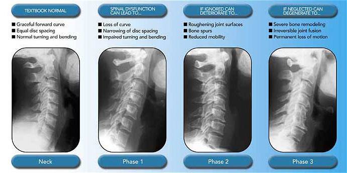 Image for Reddell Family Chiropractic with ID of: 1054541