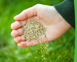 Image for JT Turf Care with ID of: 1054809