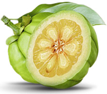Image for Health Fanatic with ID of: 1060971