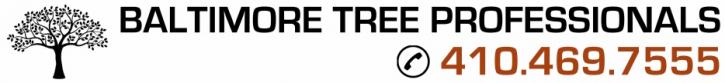 Image for Baltimore Tree Professionals with ID of: 1062828