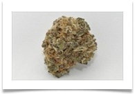 Image for Denver Marijuana Online with ID of: 1063893