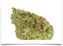 Image for Denver Marijuana Online with ID of: 1063898