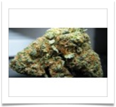 Image for Denver Marijuana Online with ID of: 1063904