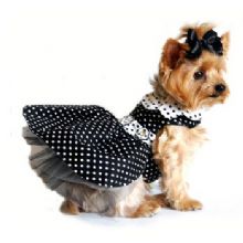 Image for Desert Girls Pampered Pets with ID of: 1067306