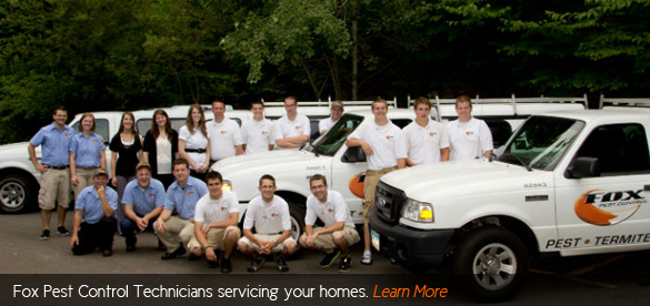 Image for Fox Pest Control with ID of: 1067384