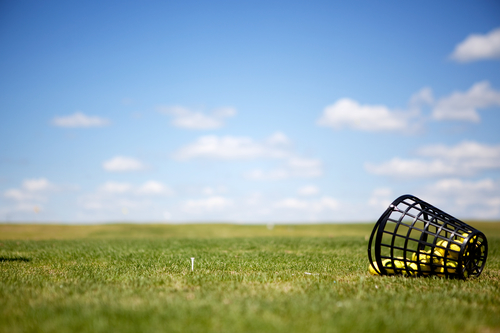 Image for Ace Golf Range Netting with ID of: 1067617