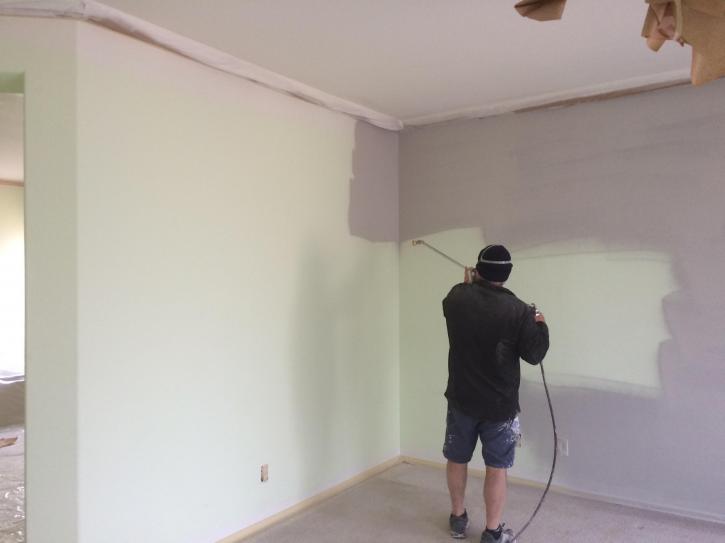 Image for Paint Pros LTD with ID of: 1068697