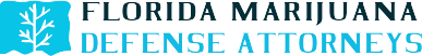 Image for florida marjiuana defense attorneys with ID of: 1068888