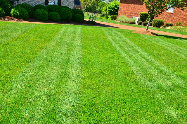 Image for Par One Turf & Landscaping Inc with ID of: 1070560