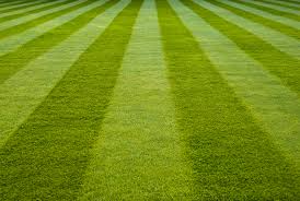 Image for Par One Turf & Landscaping Inc with ID of: 1070575