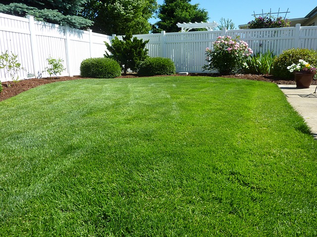 Image for Par One Turf & Landscaping Inc with ID of: 1070577