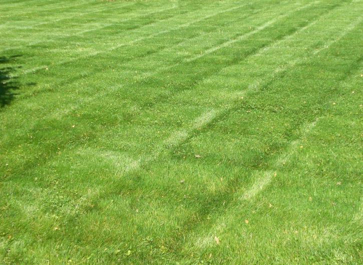 Image for Par One Turf & Landscaping Inc with ID of: 1070583