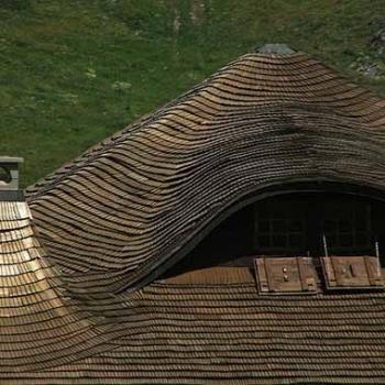 Image for Roofing USA LLC with ID of: 1073874