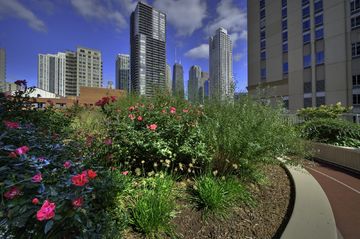 Image for Grand Plaza with ID of: 1074534