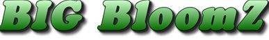 Image for Big Bloomz with ID of: 1076085