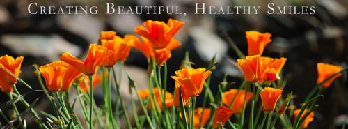 Image for Russell Cureton DDS with ID of: 1076650