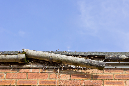 Image for Cypress Water Fire Smoke Damage Restoration Services with ID of: 1076716