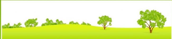Image for Tree Service St Paul with ID of: 1077881