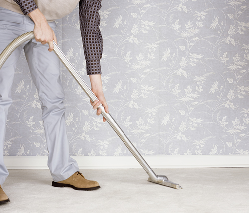 Image for Steam 'N Clean Carpet Cleaning with ID of: 1078728