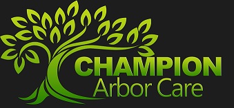 Image for Champion Arbor Care with ID of: 1078738