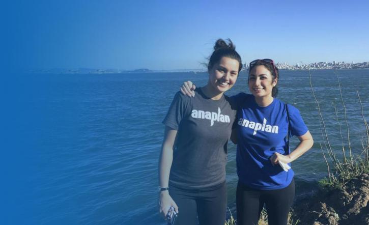 Image for Anaplan with ID of: 1080713