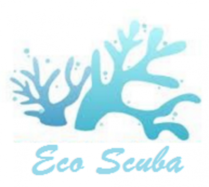Image for Eco Scuba @ 800-848 Brickell Bay Dr. with ID of: 1081046
