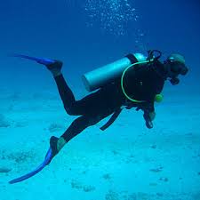 Image for Eco Scuba @ 800-848 Brickell Bay Dr. with ID of: 1081052