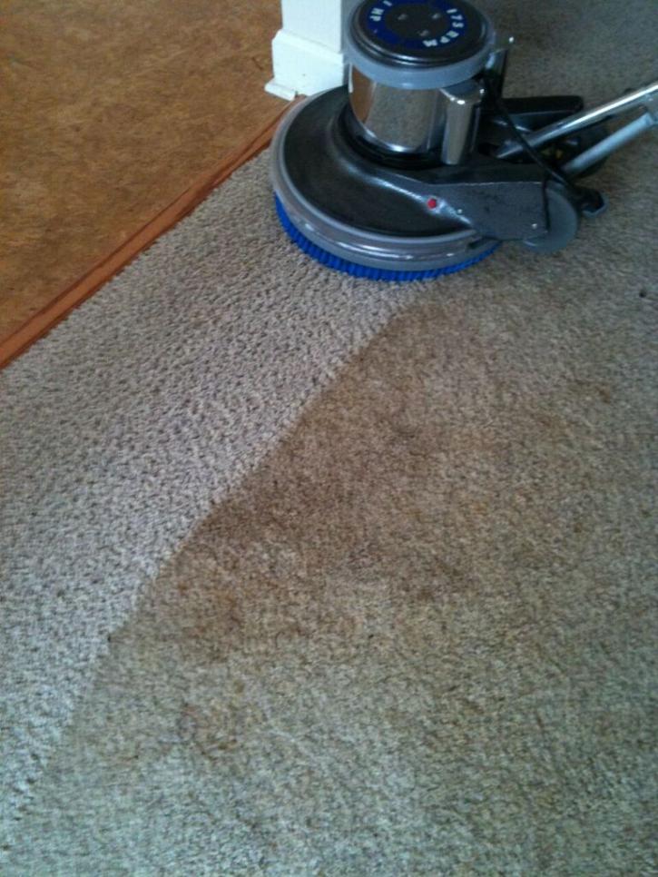Image for O'Fallon Carpet Cleaning with ID of: 1081087