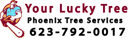 Image for Tree Service Phoenix AZ with ID of: 1082302