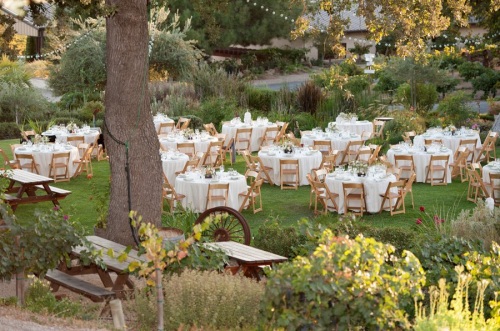 Image for All About Events with ID of: 1084602