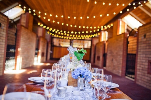 Image for All About Events with ID of: 1084603