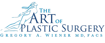 Image for The Art of Plastic Surgery with ID of: 1084802