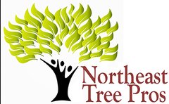 Image for Northeast Tree Pros with ID of: 1085758