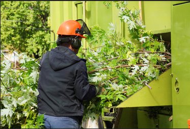Image for Northeast Tree Pros with ID of: 1086258