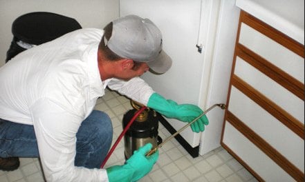 Image for Best RI Pest Control with ID of: 1086333