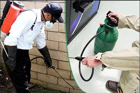 Image for Best RI Pest Control with ID of: 1086334