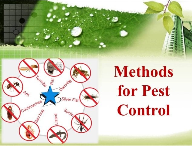 Image for Best RI Pest Control with ID of: 1086335