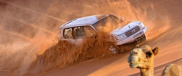 Image for Desert Safari Tours with ID of: 1089032