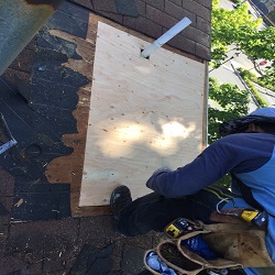 Image for Green Apple Roofing with ID of: 1090123