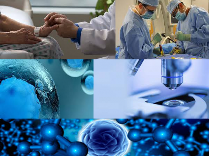 Image for Bone Marrow Transplant in India with ID of: 1090805