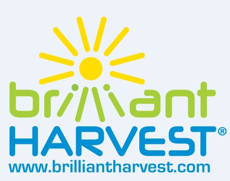 Image for Brilliant Harvest with ID of: 1091673